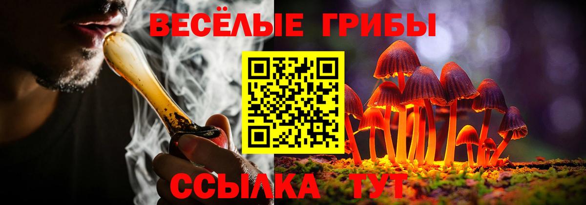 Псилоцибиновые грибы Cubensis Отрадное